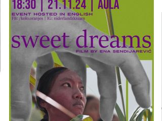 Afbeelding: 2024-11/1731017458_thumbnail-sweet-dreamslyczykowska.jpg