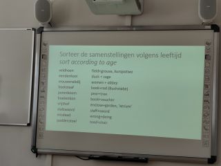Afbeelding: 2025-06/1749213353663.jpg