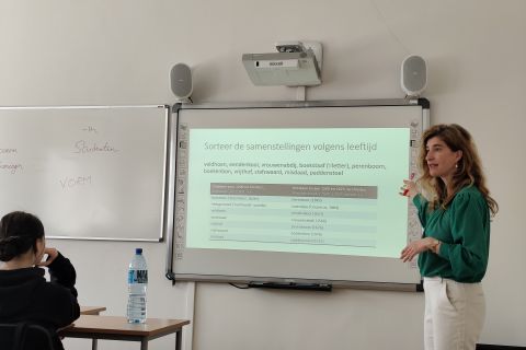 Afbeelding: 2025-06/1750667683_1749213353626.jpg