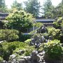 Classical Chinese Garden, Chinatown / Klasyczny ogród chiński, dzielnica chińska, Vancouver<br />fot. Zuzanna Kruk-Buchowska
