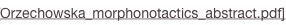 shapeimage_3_link_5